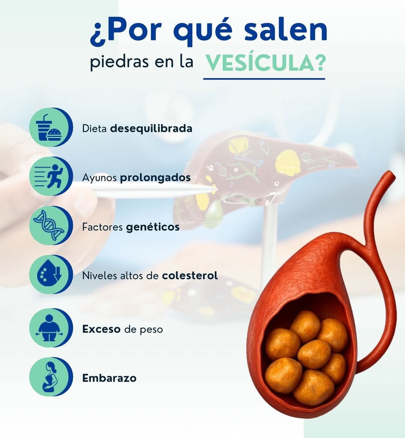 Galería quirúrgica 7